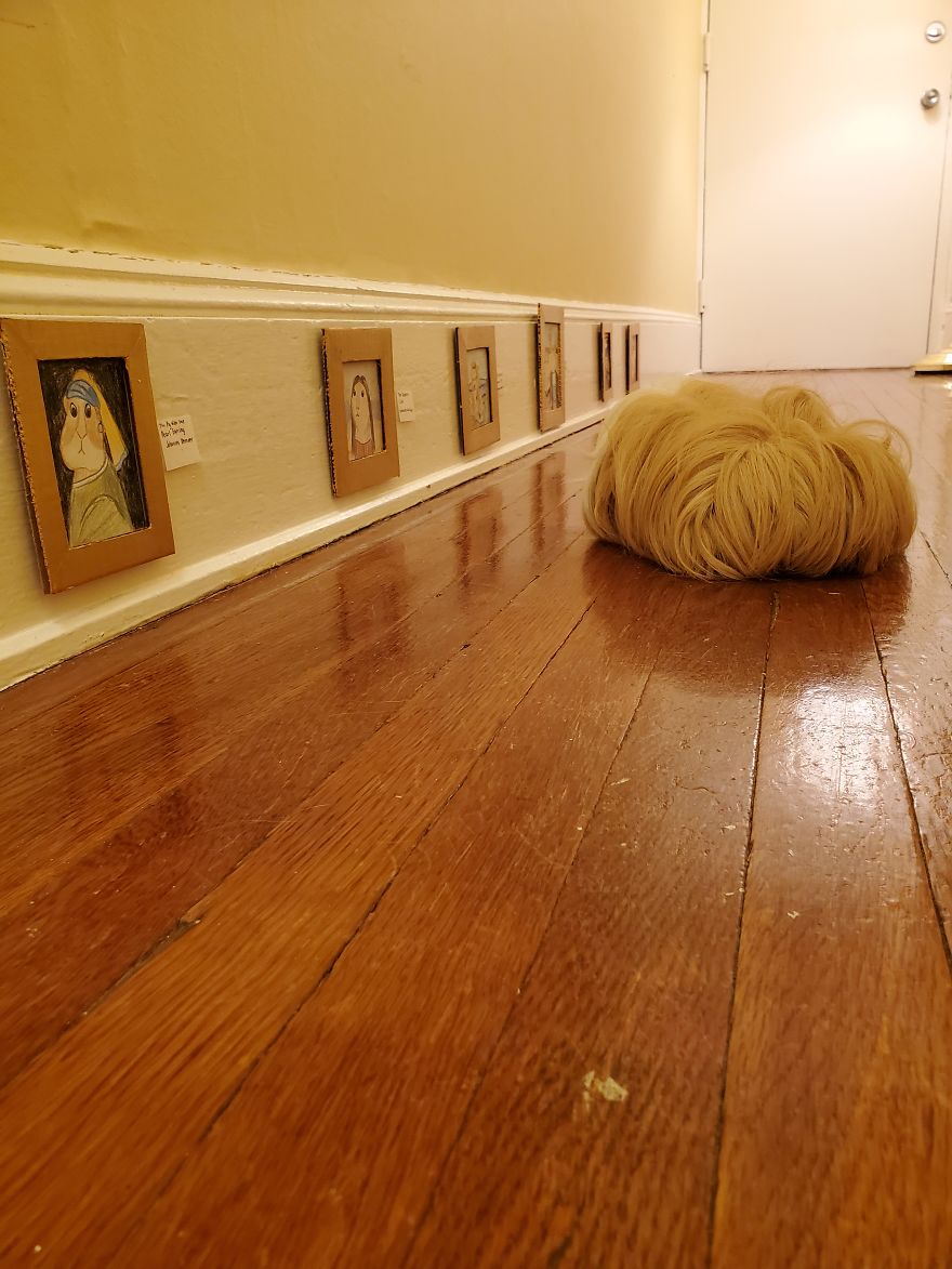 I've Made A Fine Art Museum For My Guinea Pig, And She Seems To Have Enjoyed It I've Made A Fine Art Museum For My Guinea Pig, And She Seems To Have Enjoyed It