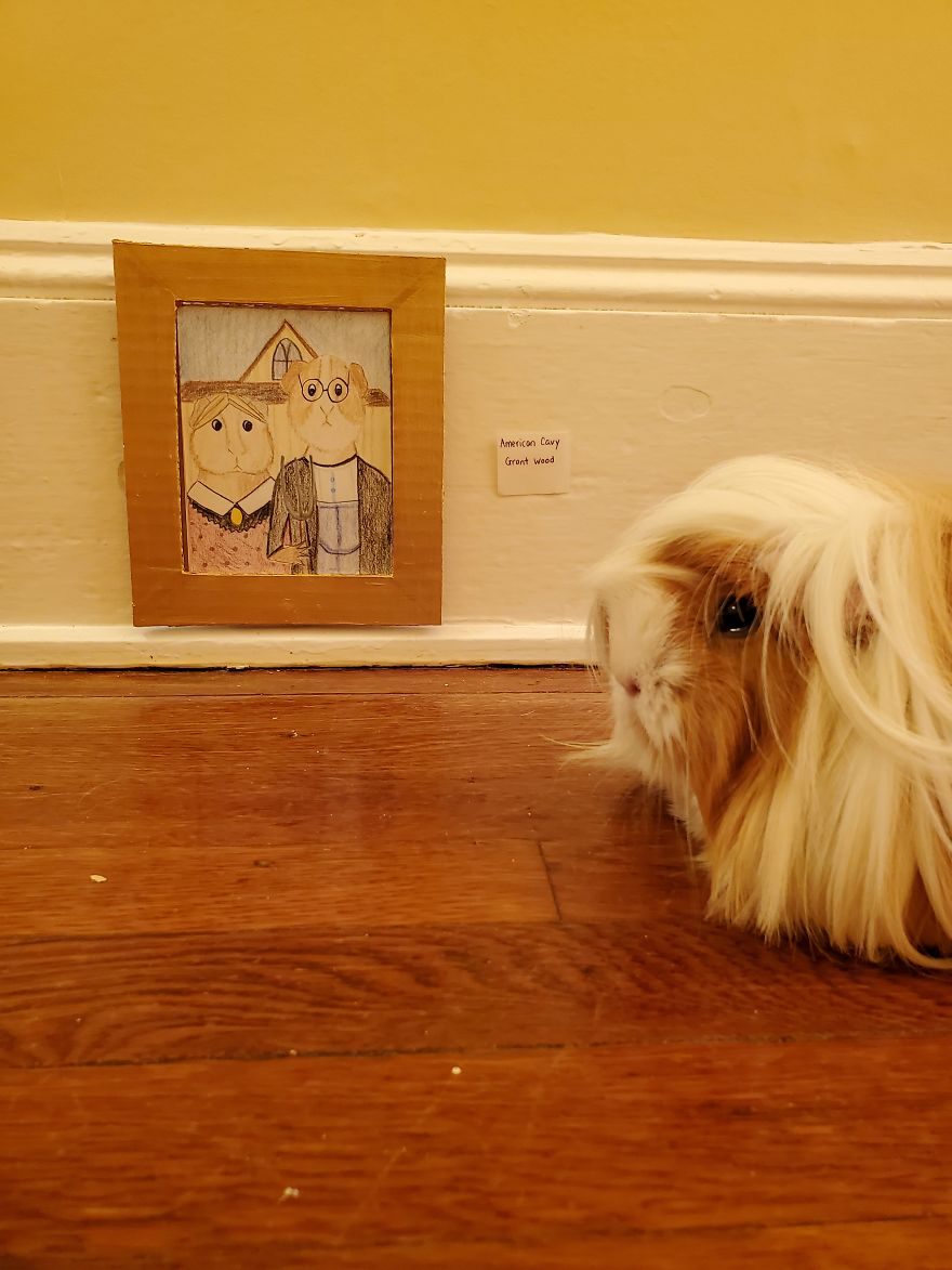 I've Made A Fine Art Museum For My Guinea Pig, And She Seems To Have Enjoyed It I've Made A Fine Art Museum For My Guinea Pig, And She Seems To Have Enjoyed It
