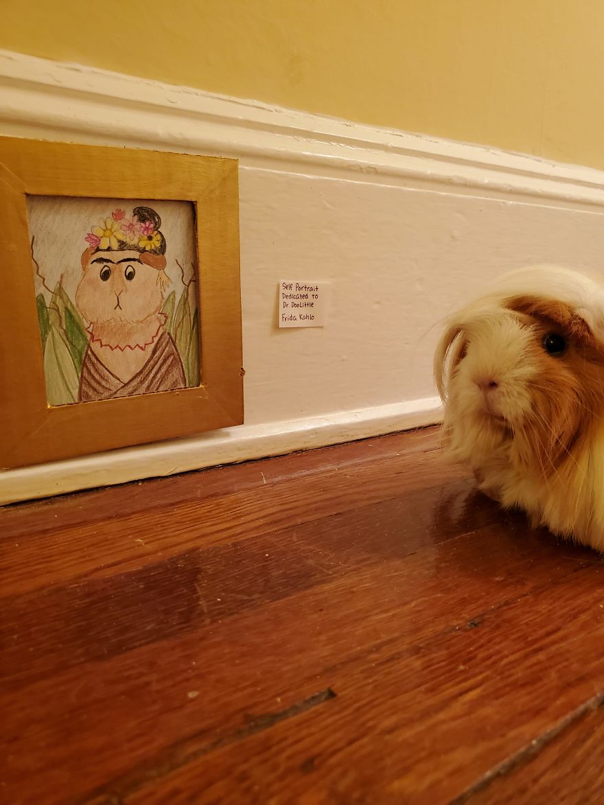 I've Made A Fine Art Museum For My Guinea Pig, And She Seems To Have Enjoyed It I've Made A Fine Art Museum For My Guinea Pig, And She Seems To Have Enjoyed It