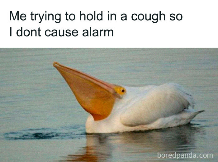 Coronavirus-Quarantine-Funny-Jokes