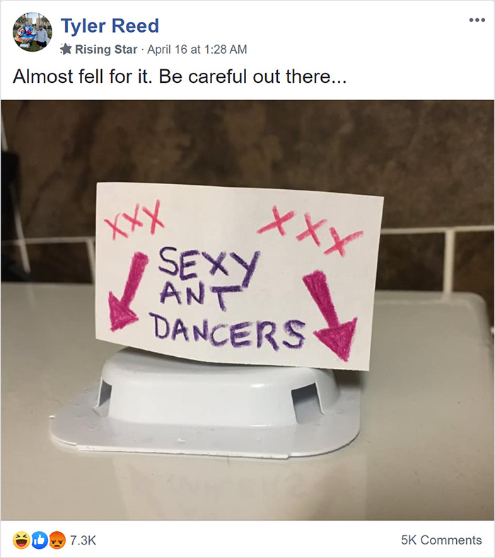 This Facebook Group Is Dedicated To People Pretending To Be Ants This Facebook Group Is Dedicated To People Pretending To Be Ants