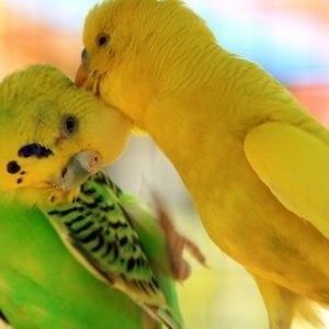 cynthia_bright9 avatar