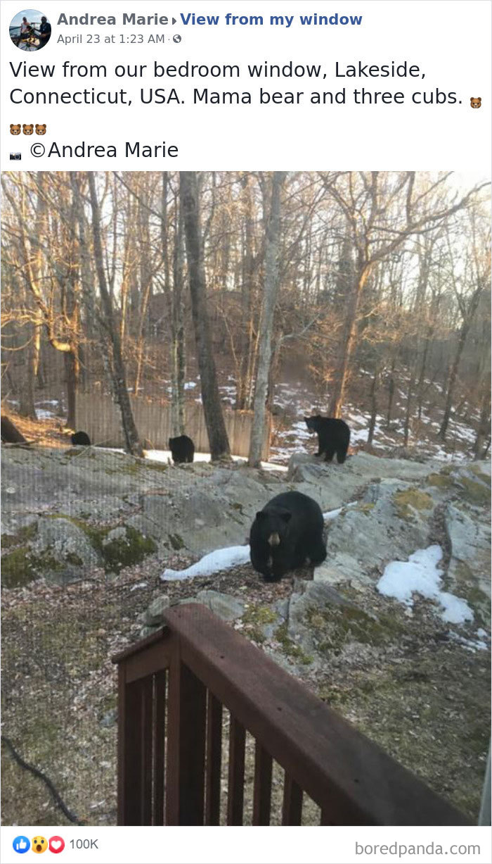 Outside-My-Window-Pics