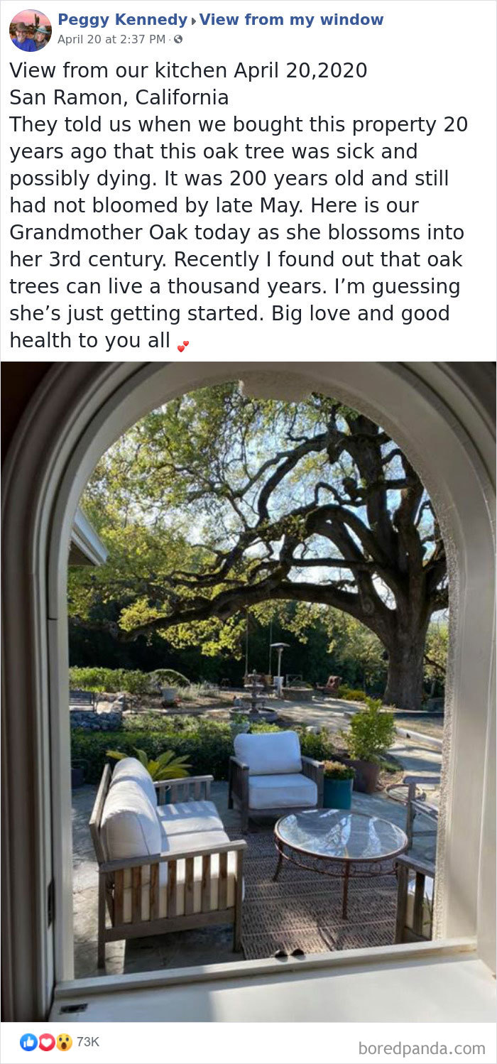 Outside-My-Window-Pics