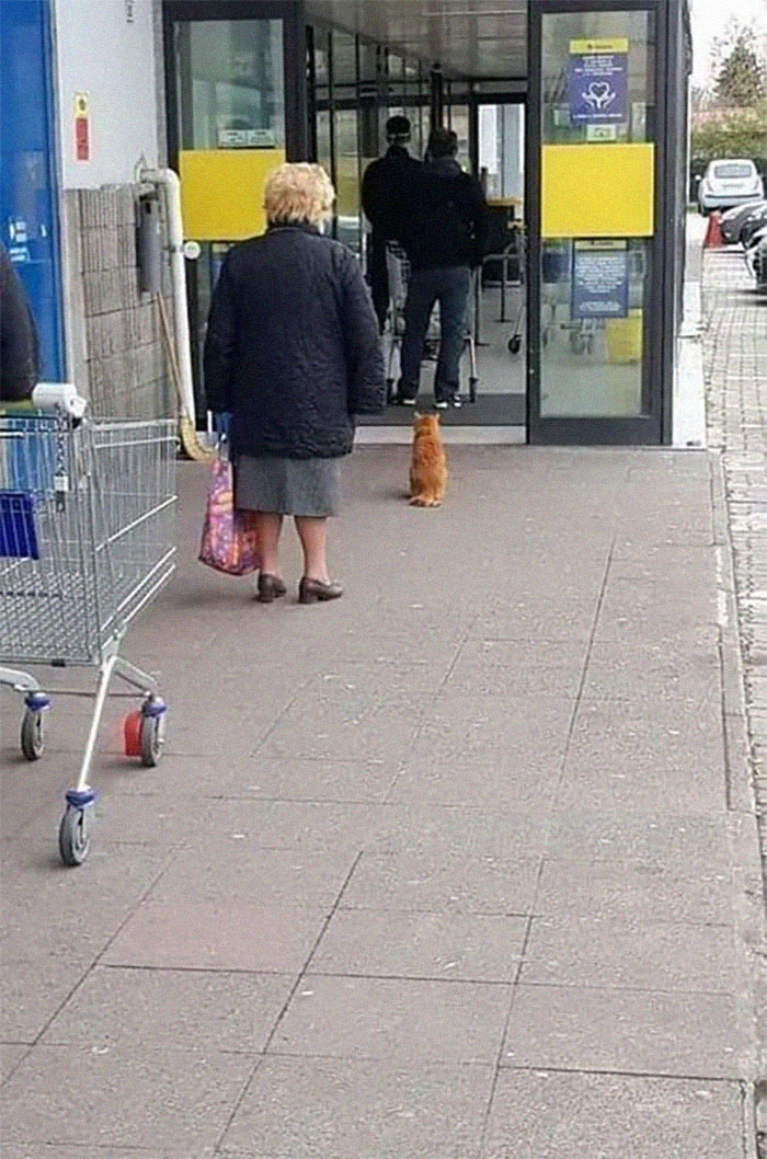 Coronavirus-Quarantine-Funny-Jokes