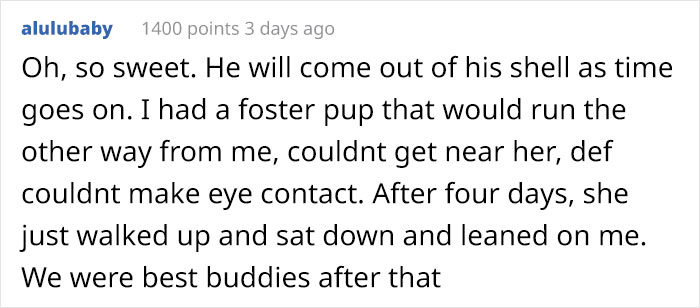 Timid Pup Comes Up With A Super Cute Way To Ask His Foster Parents For More Scratchies And Love