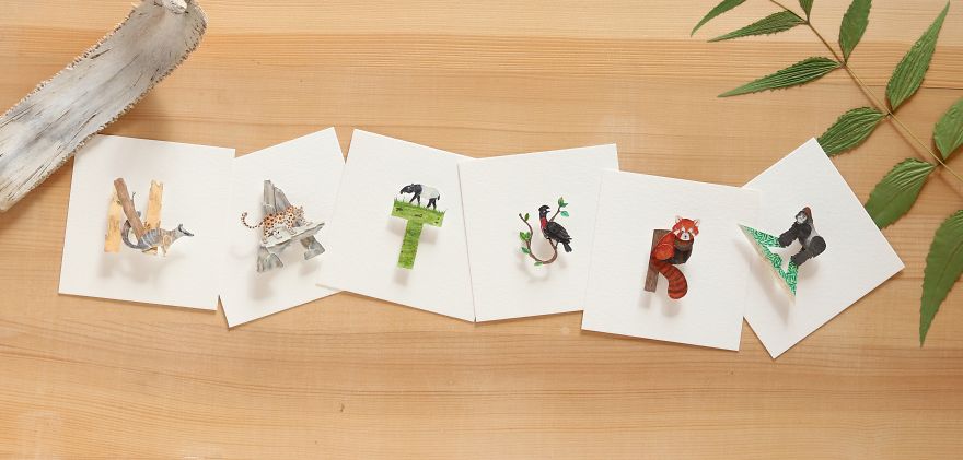 We Made An Alphabet Out Of Endangered Wildlife Species (34 Pics)