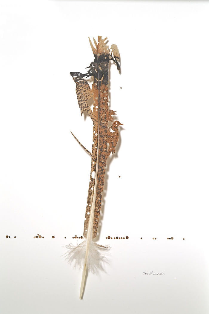 Chris Maynard At Featherfolio Returns With More Feather Carvings