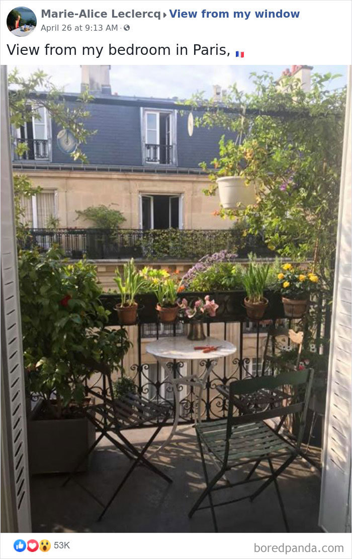 Outside-My-Window-Pics