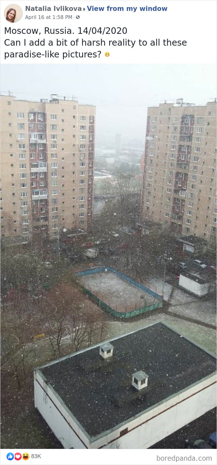 Outside-My-Window-Pics