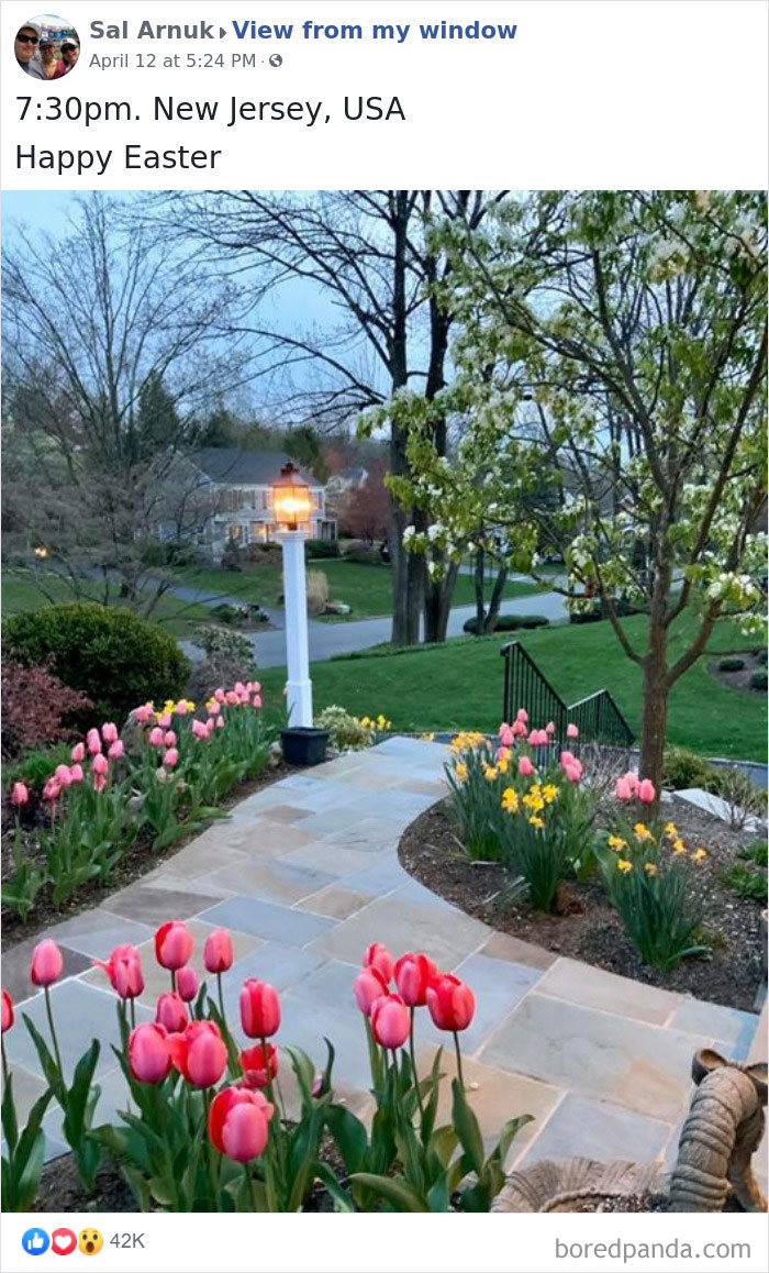 Outside-My-Window-Pics