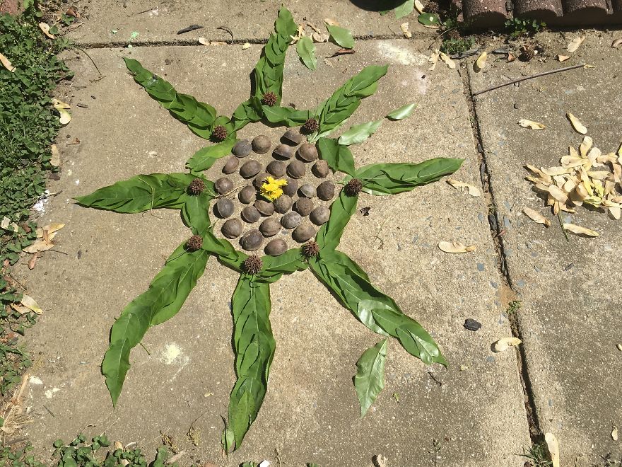 I Made These Art Pieces Out Of Art From My Backyard (Add Your Own!)