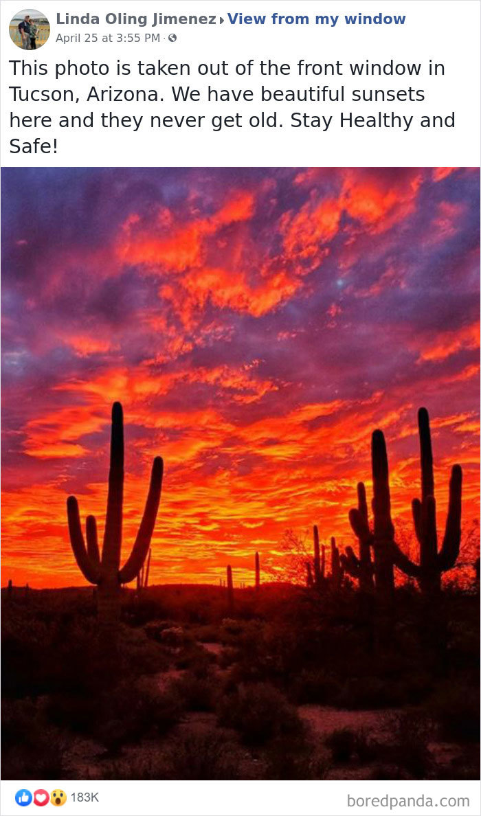 Outside-My-Window-Pics