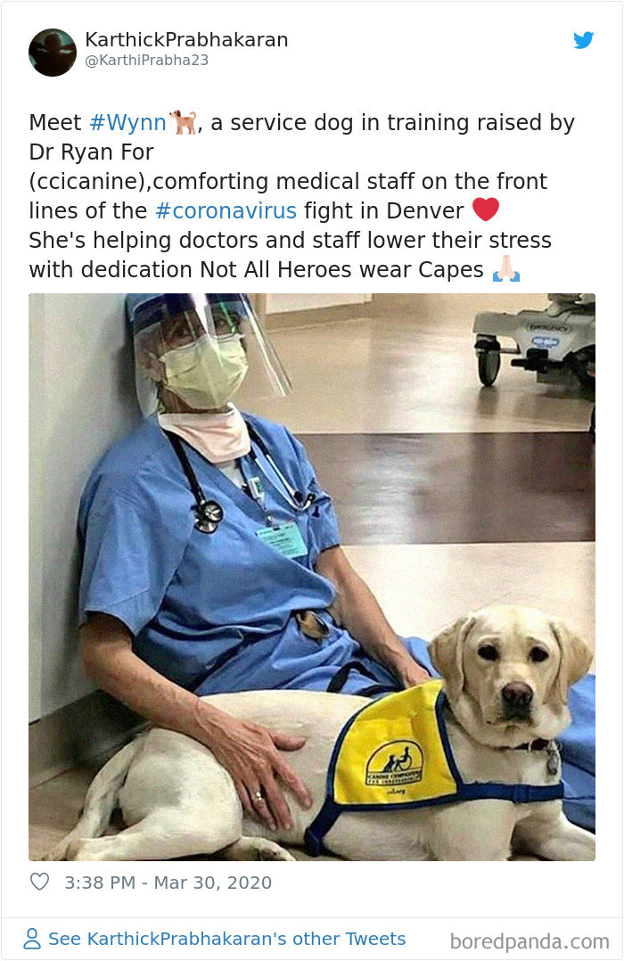 Coronavirus-Wholesome-Quarantine-Good-News