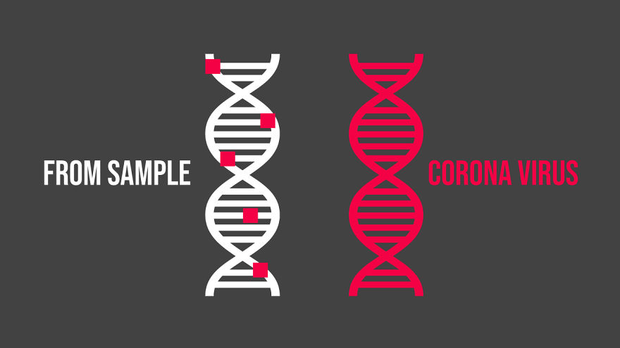 I Made An Animation That Explains How Different Coronavirus Tests Work (For The Non-Techies Out There) I Made An Animation That Explains How Different Coronavirus Tests Work (For The Non-Techies Out There)