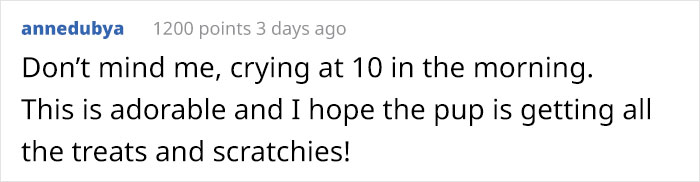 Timid Pup Comes Up With A Super Cute Way To Ask His Foster Parents For More Scratchies And Love Timid Pup Comes Up With A Super Cute Way To Ask His Foster Parents For More Scratchies And Love