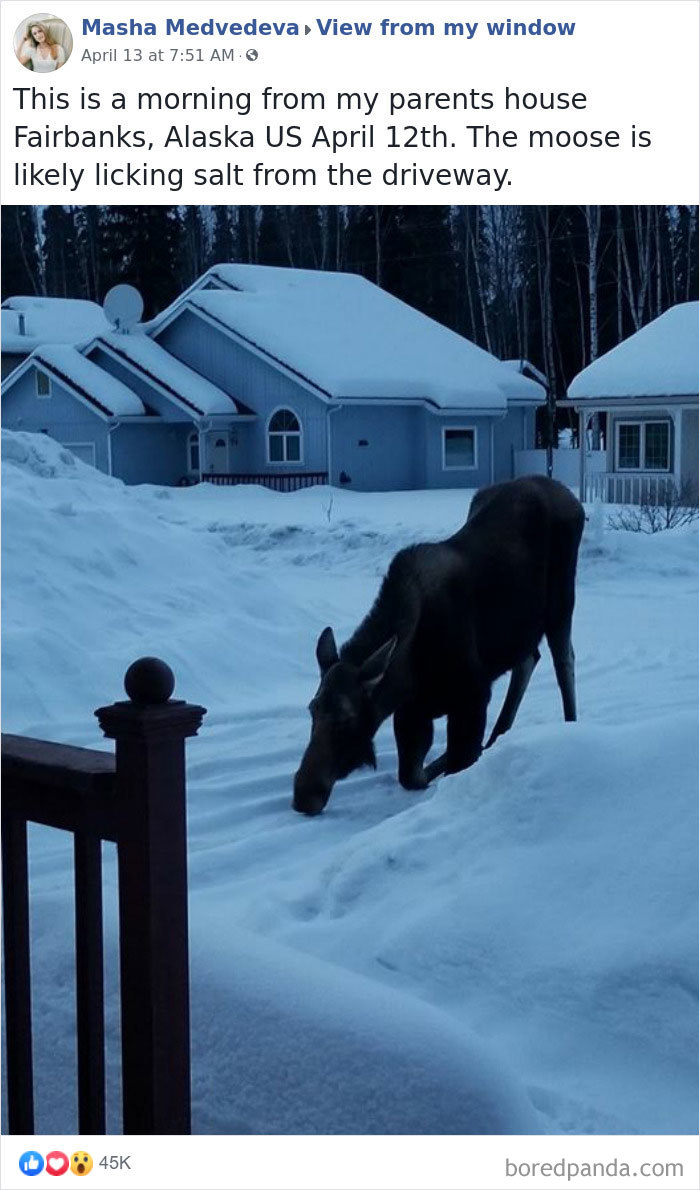 Outside-My-Window-Pics