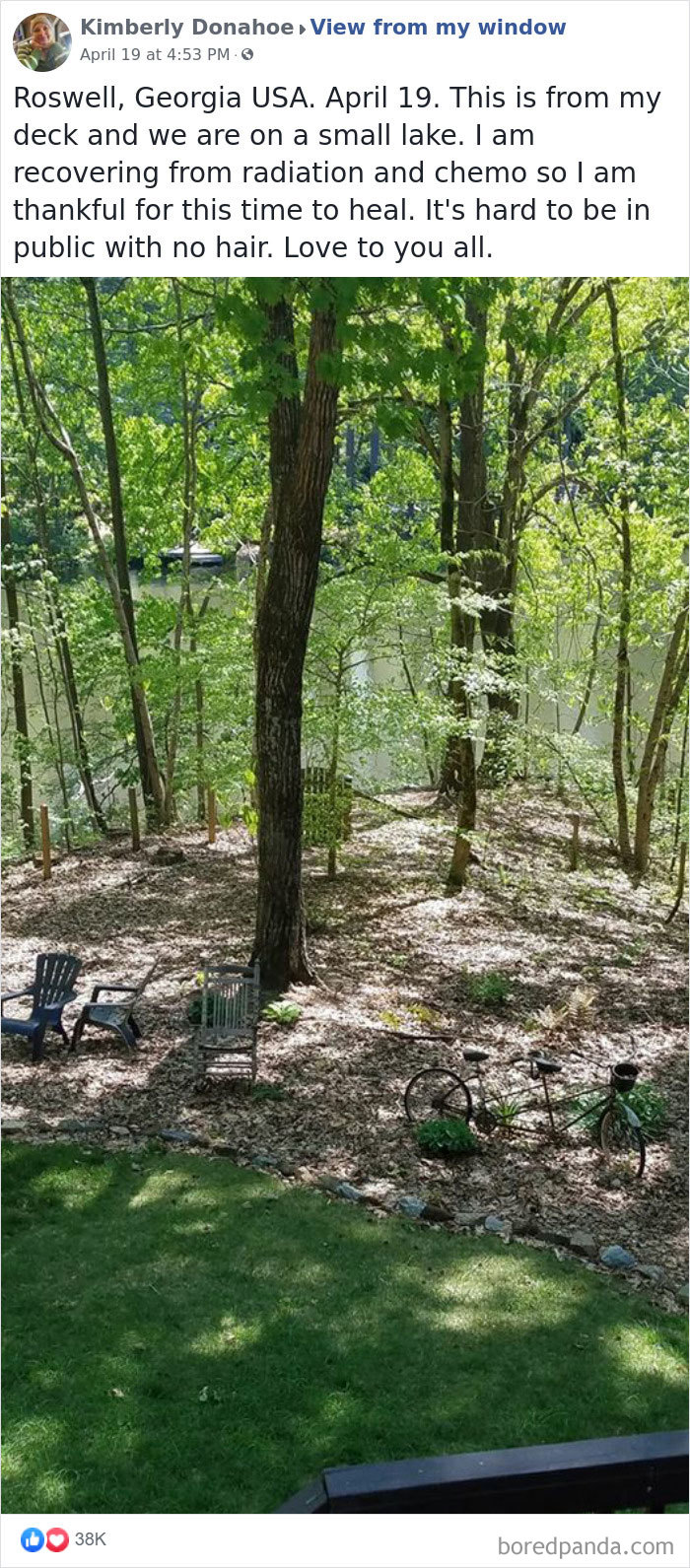 Outside-My-Window-Pics