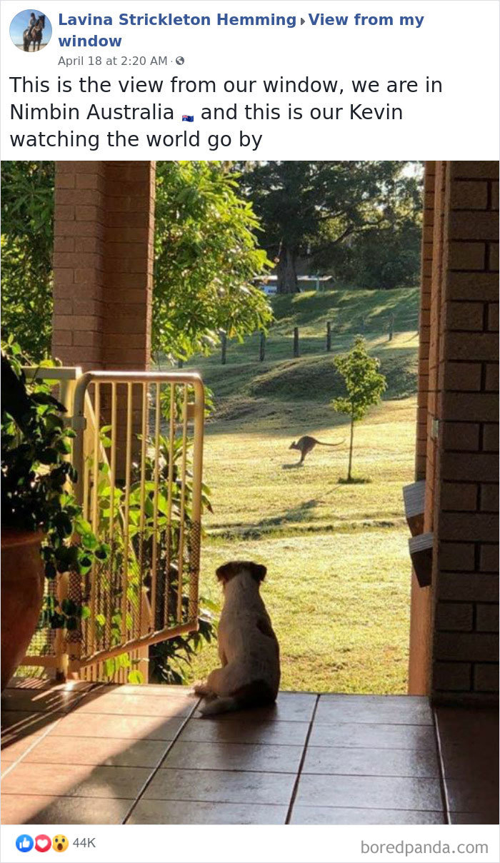 Outside-My-Window-Pics