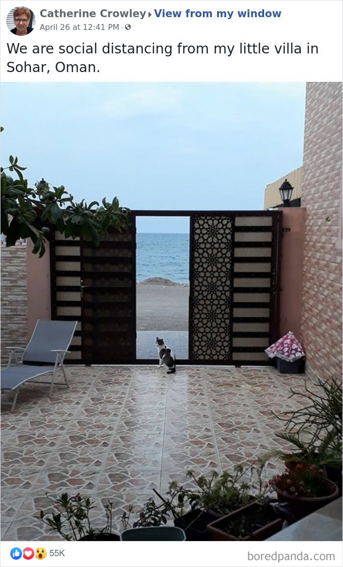 Outside-My-Window-Pics