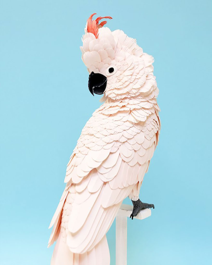 Colombian Artist Makes Unbelievable Paper Birds