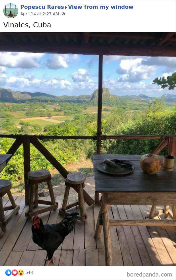 Outside-My-Window-Pics