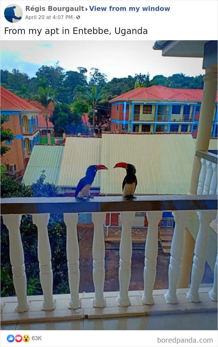 Outside-My-Window-Pics