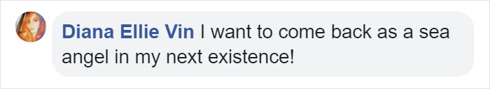 &ldquo;This Isn&rsquo;t CGI&rdquo;: Video Of A Real-Life Creature Known As A Sea Angel Hovering Under Ice In The White Sea Goes Viral