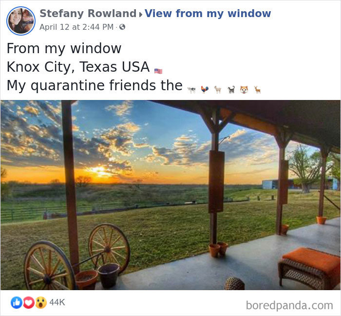 Outside-My-Window-Pics