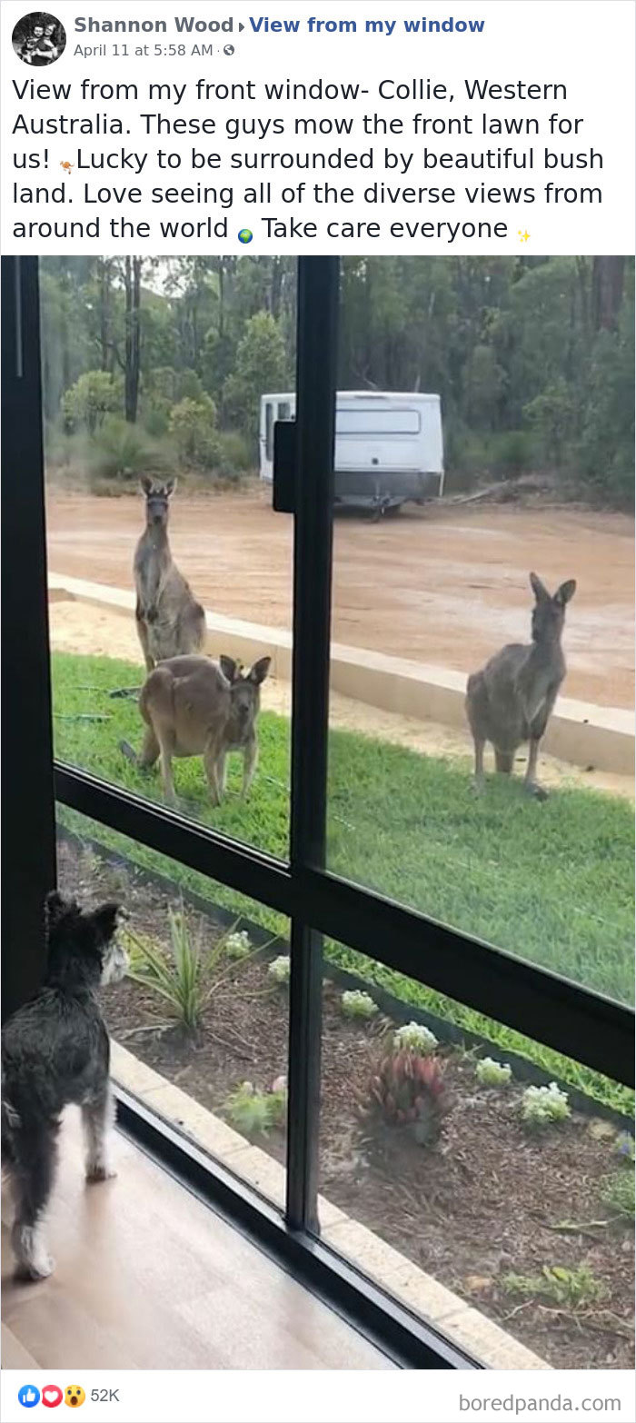 Outside-My-Window-Pics