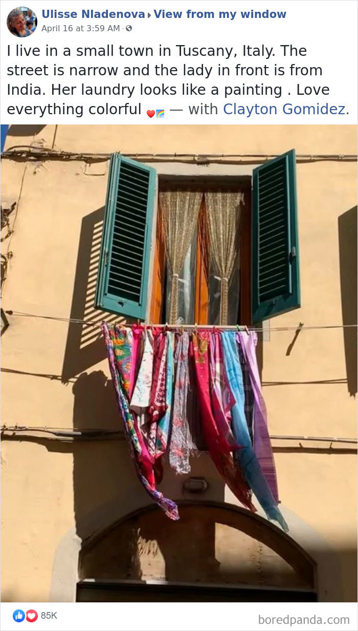 Outside-My-Window-Pics