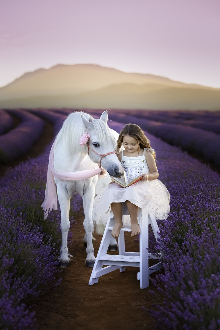 Animal-Dog-Photography-Bridestowe-Lavender-Estate-Tasmania-Deb-Sulzberger