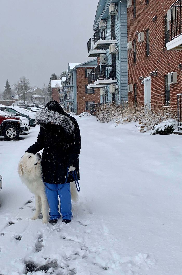 Coronavirus-Wholesome-Quarantine-Good-News