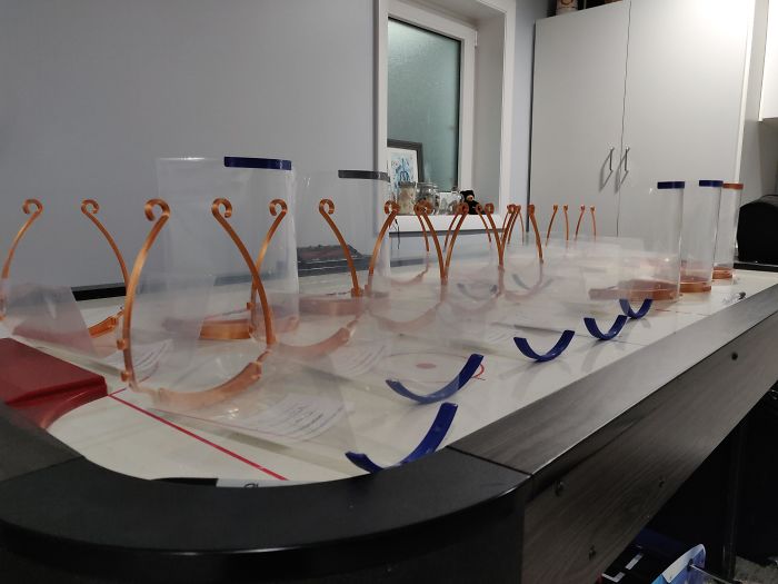 Coronavirus-Wholesome-Quarantine-Good-News