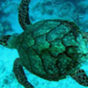 findlaymonaghan avatar