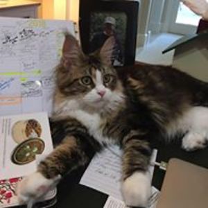 kendalllaraine avatar