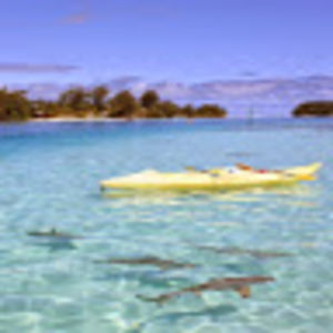 antonisrountas avatar