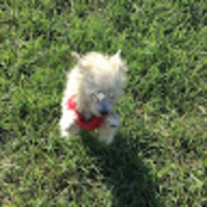 penelopelozoya avatar