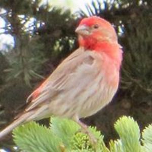 sunsets_inspire avatar