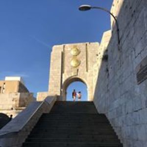 shira_amselem avatar