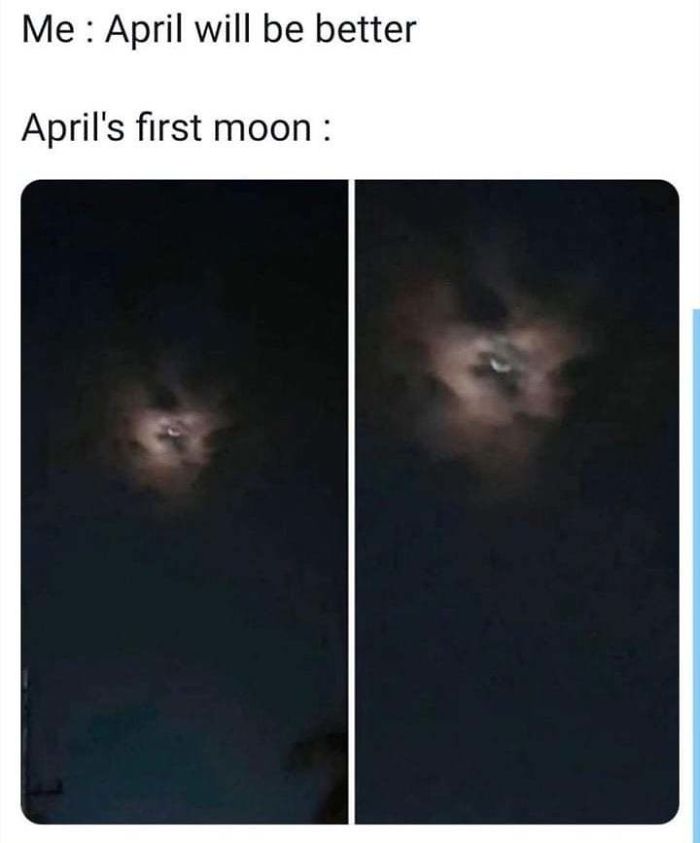 Coronavirus-Quarantine-Funny-Jokes