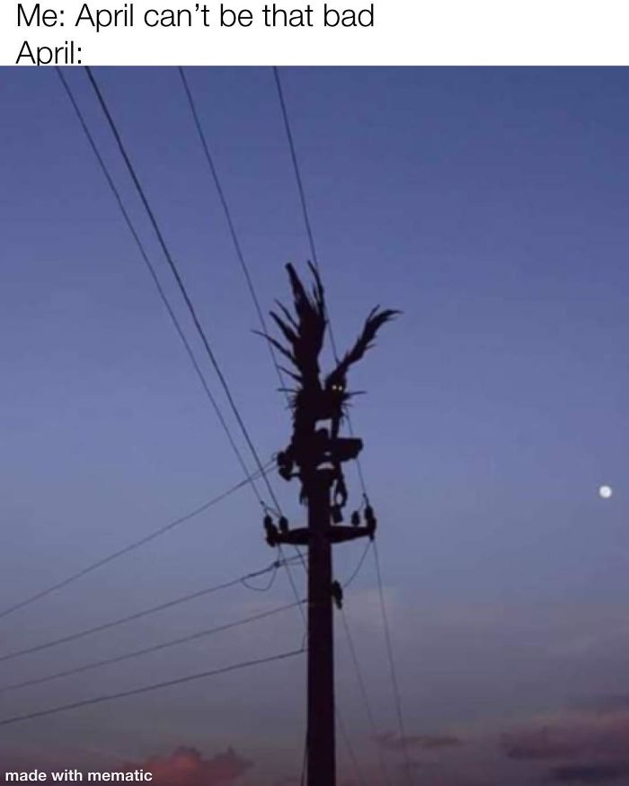 Coronavirus-Quarantine-Funny-Jokes