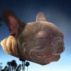 olivia_tilleman avatar