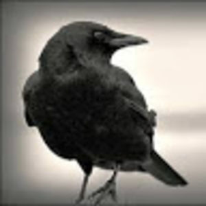 alexeiarntzen avatar