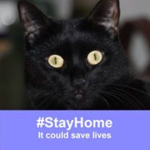 rainydaywoman43 avatar