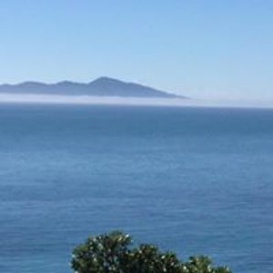 youngbach1223 avatar