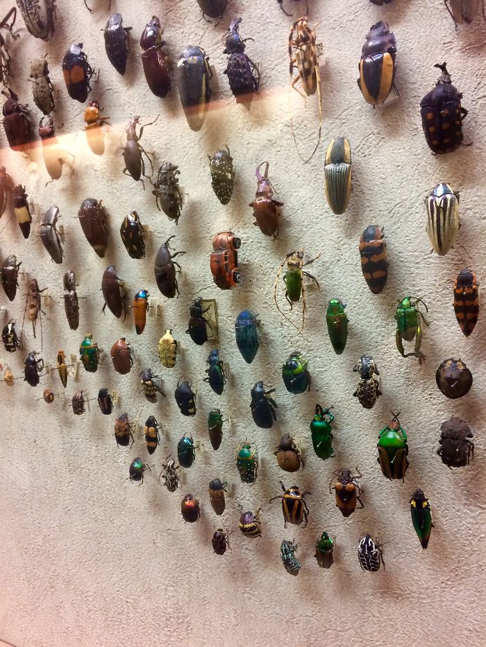 My New Job At The Museum Has Little Hidden 'Jokes' All Around. Eventually I'll Find All Of Them