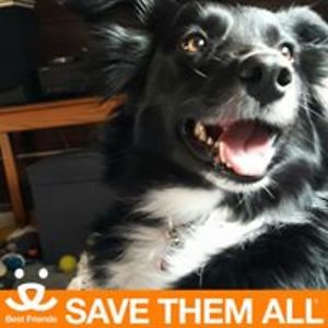 donna_robidoux avatar