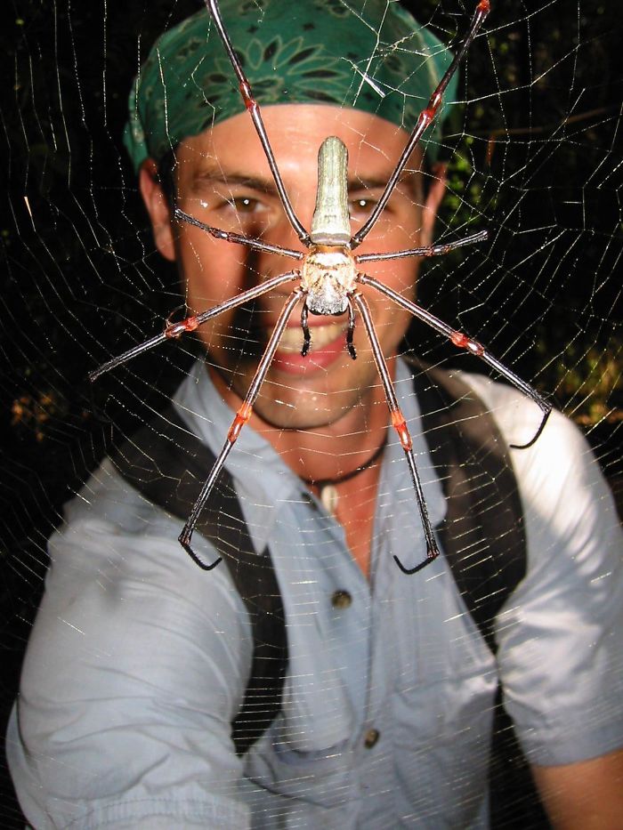 That's A Hard Pass For Me