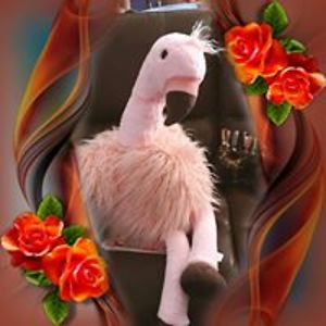 connie_steinkamp avatar